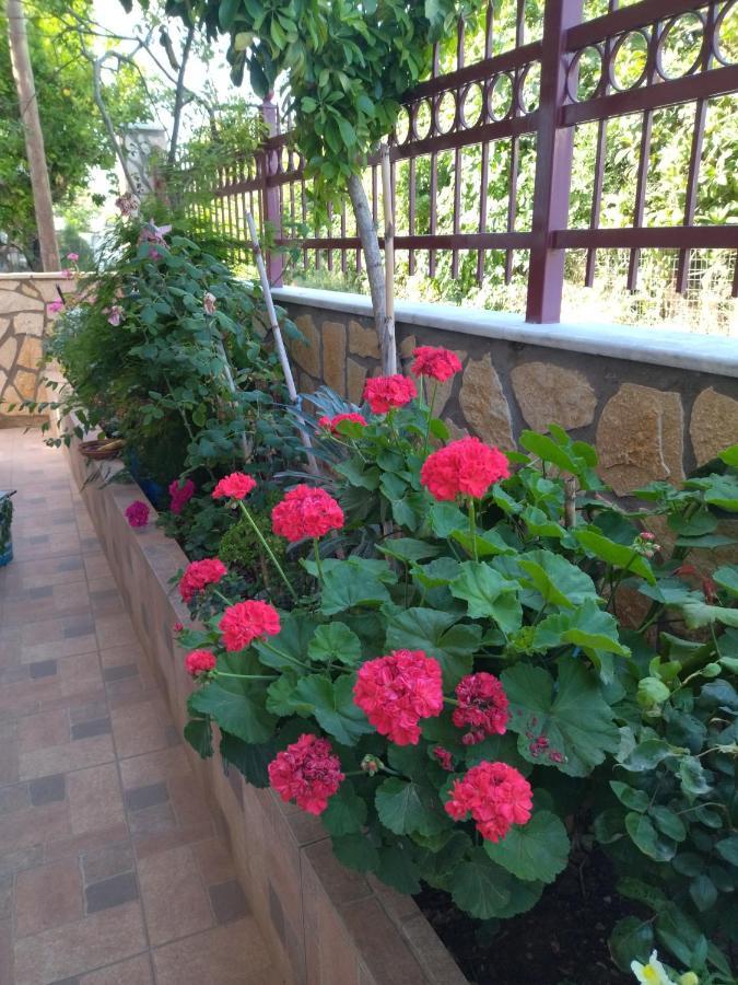 B&B One 沃尼扎 外观 照片